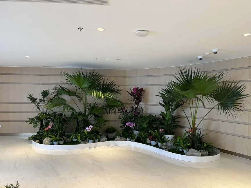 宁波前湾绿化养护公司，助力城市绿化蓬勃发展